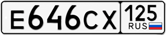 Красивый номер на авто Е646СХ 125